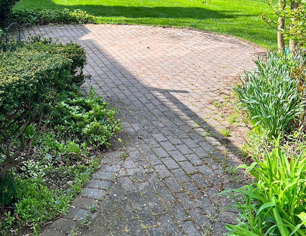 Dirty brick paver patio